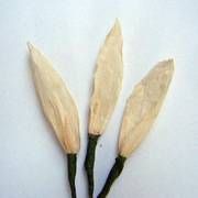 Handgearbeitete Blume aus Naturmaterial. TYP 19