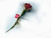 Blume mit Ihren Visitenkarten